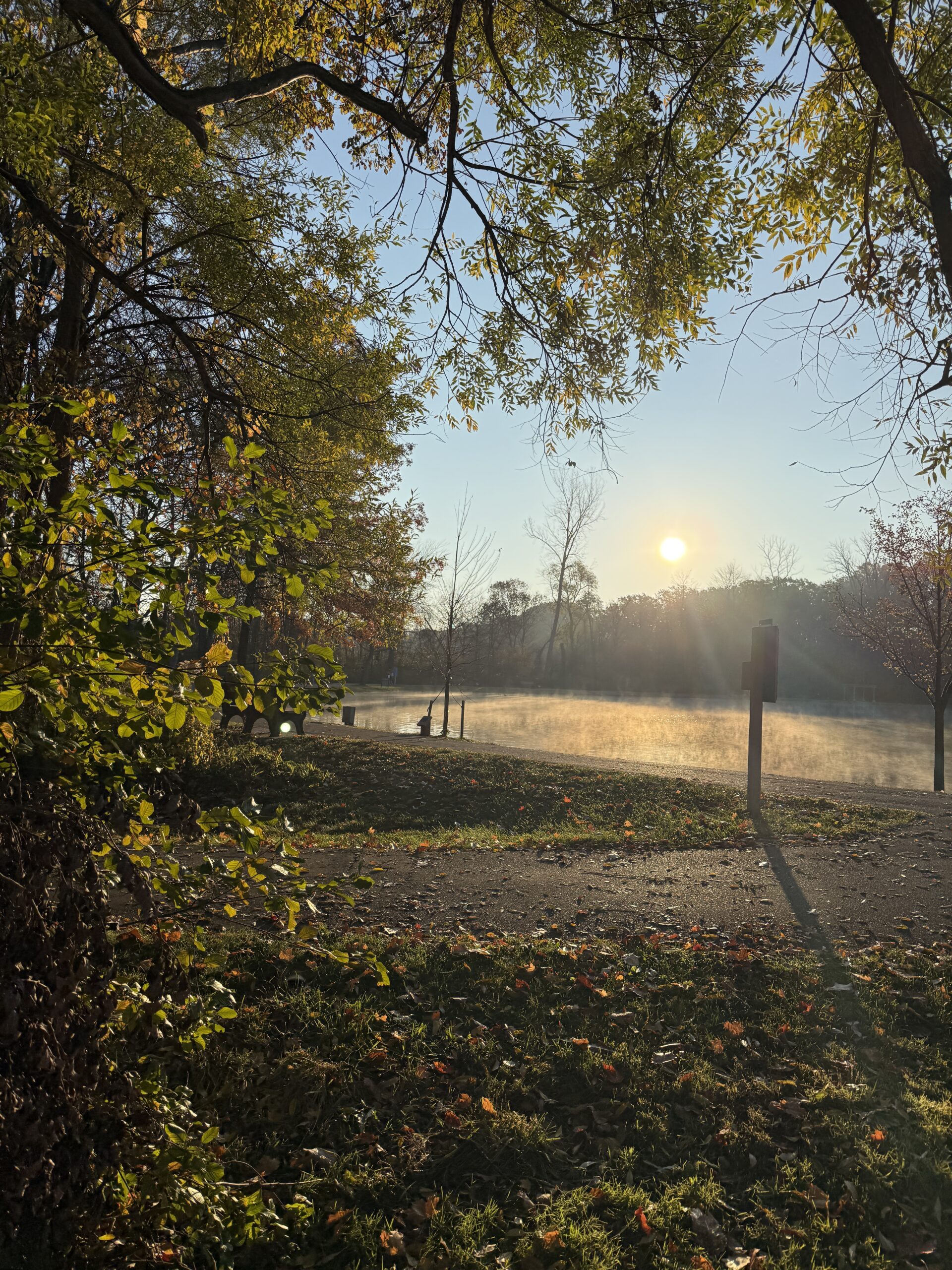 woods overlooking water